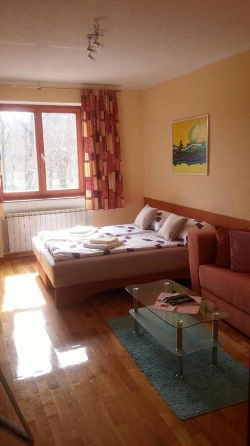 Gaby Apartment-Center Of Плитвицька Єзера Екстер'єр фото